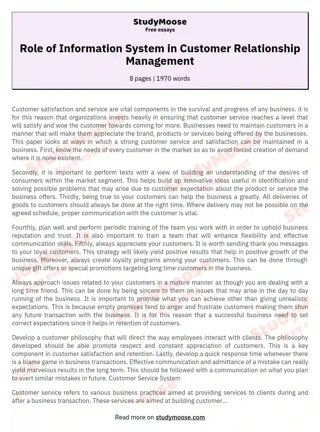 Role of Information System in Customer Relationship Management essay