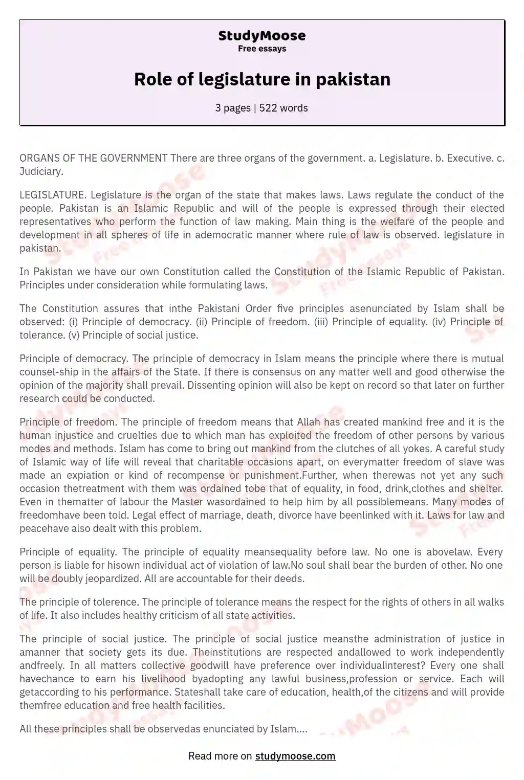 Role of legislature in pakistan essay
