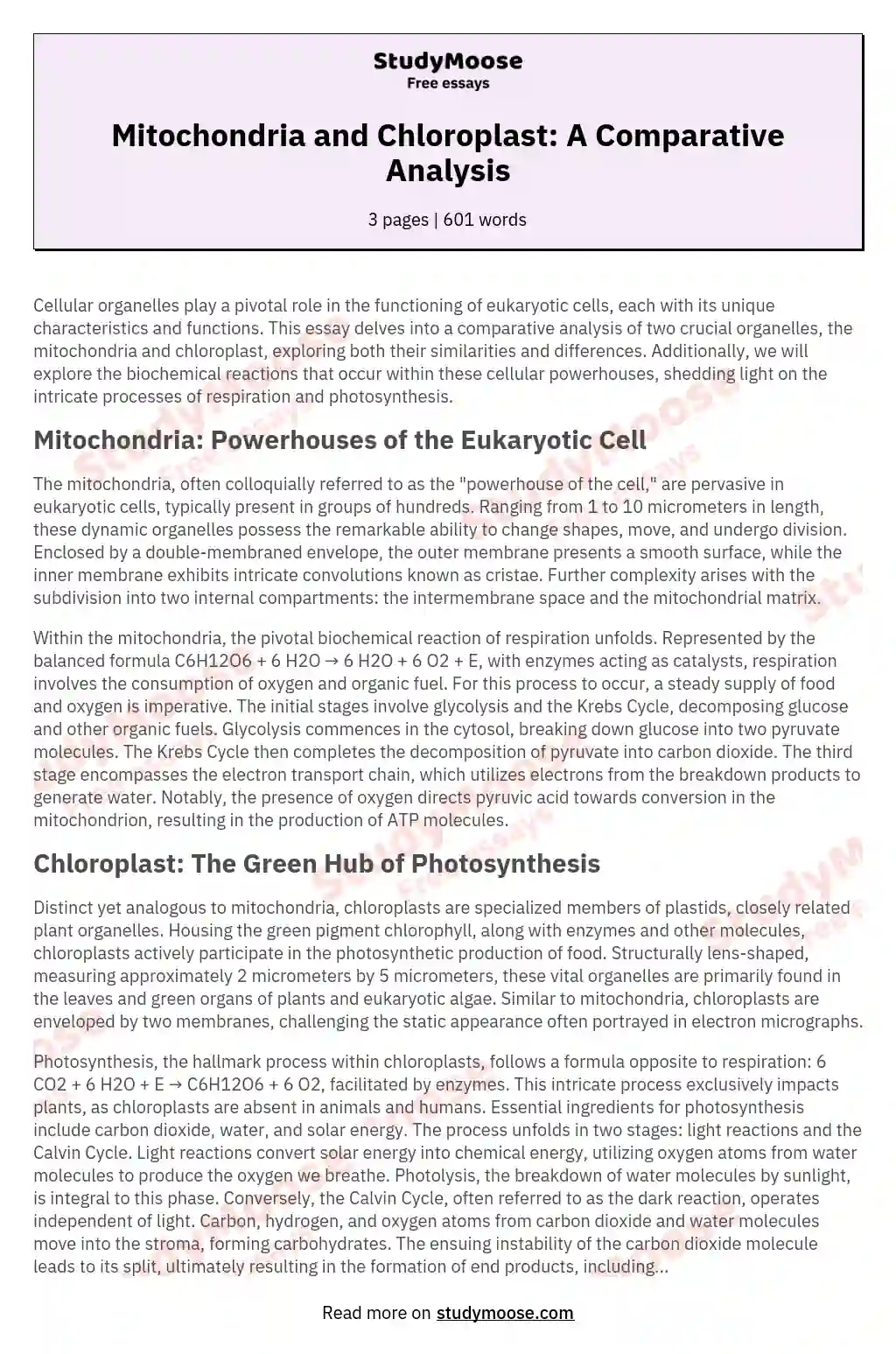 Mitochondria and Chloroplast: A Comparative Analysis essay