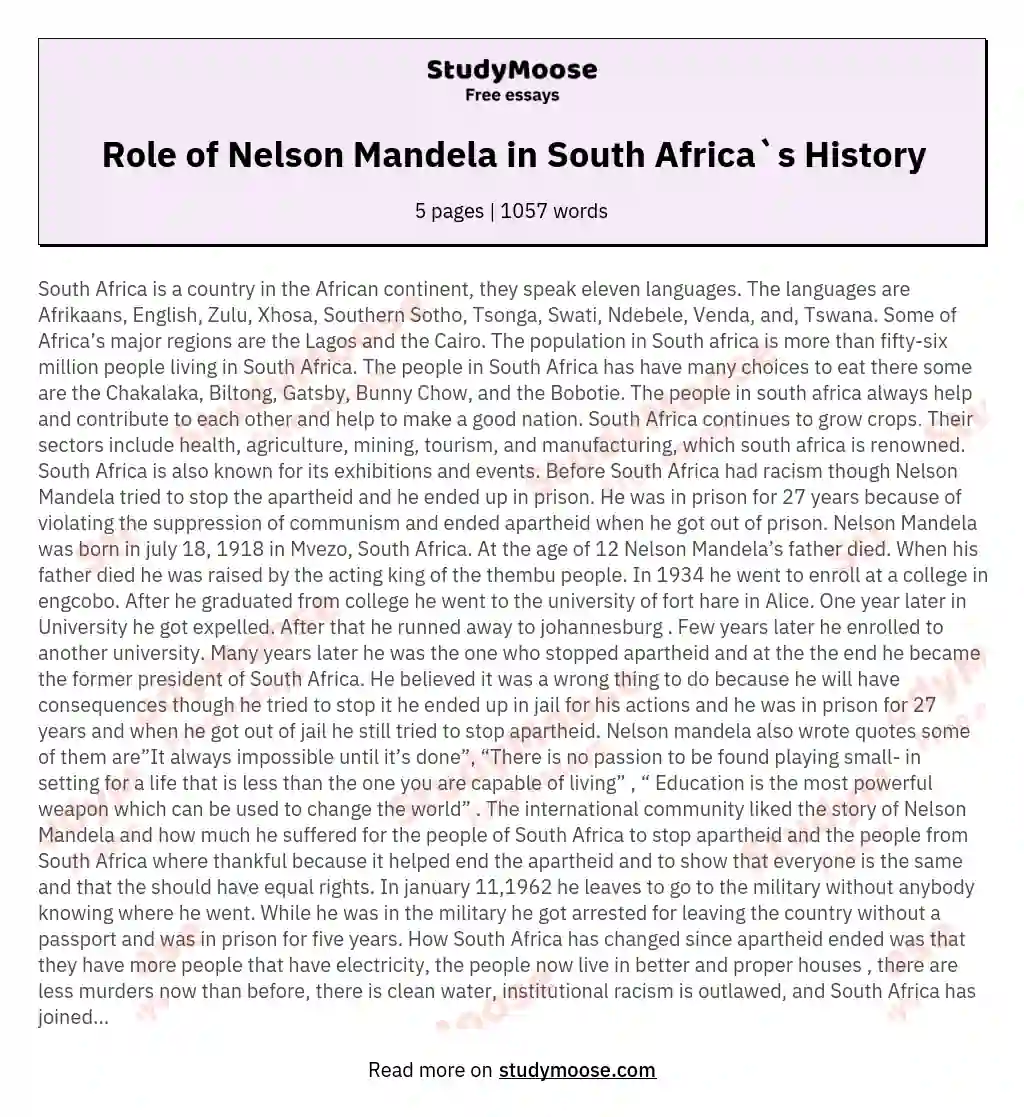 Role of Nelson Mandela in South Africa`s History essay