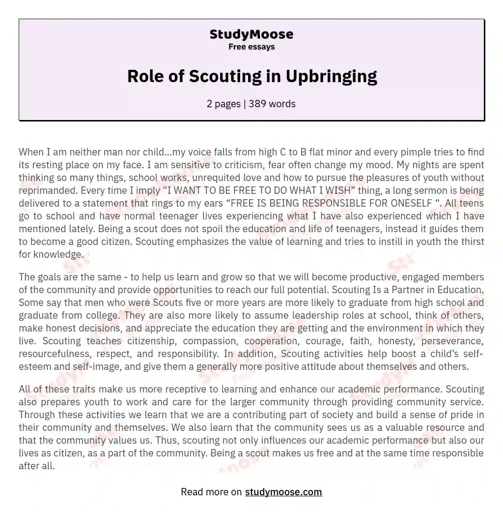 Role of Scouting in Upbringing essay