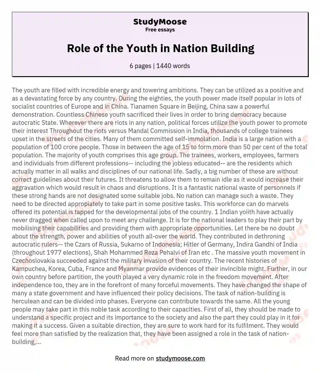 essay the role of youth in society