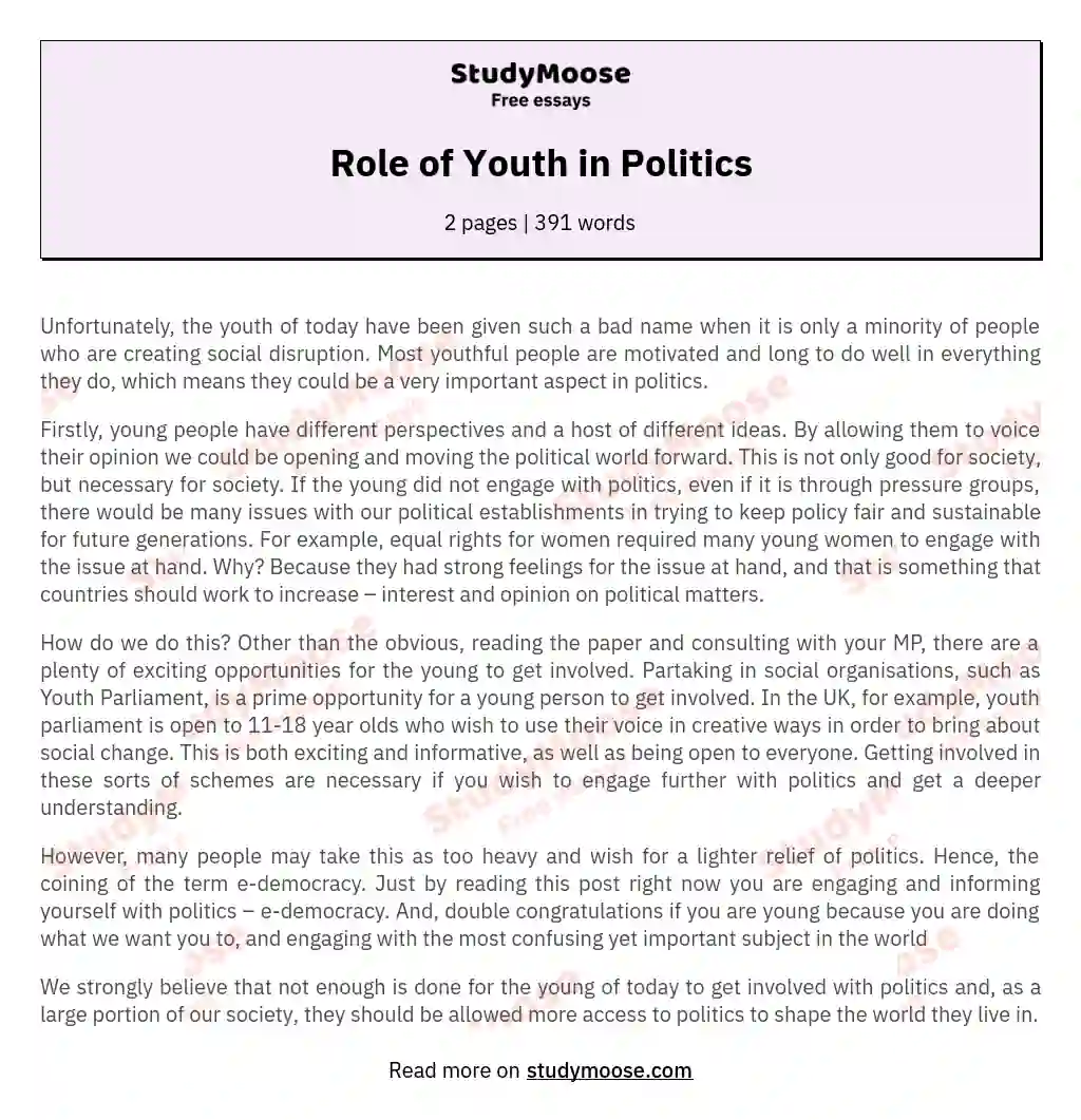 Role of Youth in Politics essay