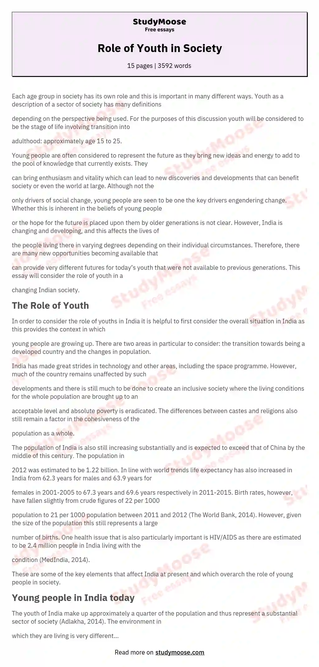 Role Of Youth In Society Free Essay Example