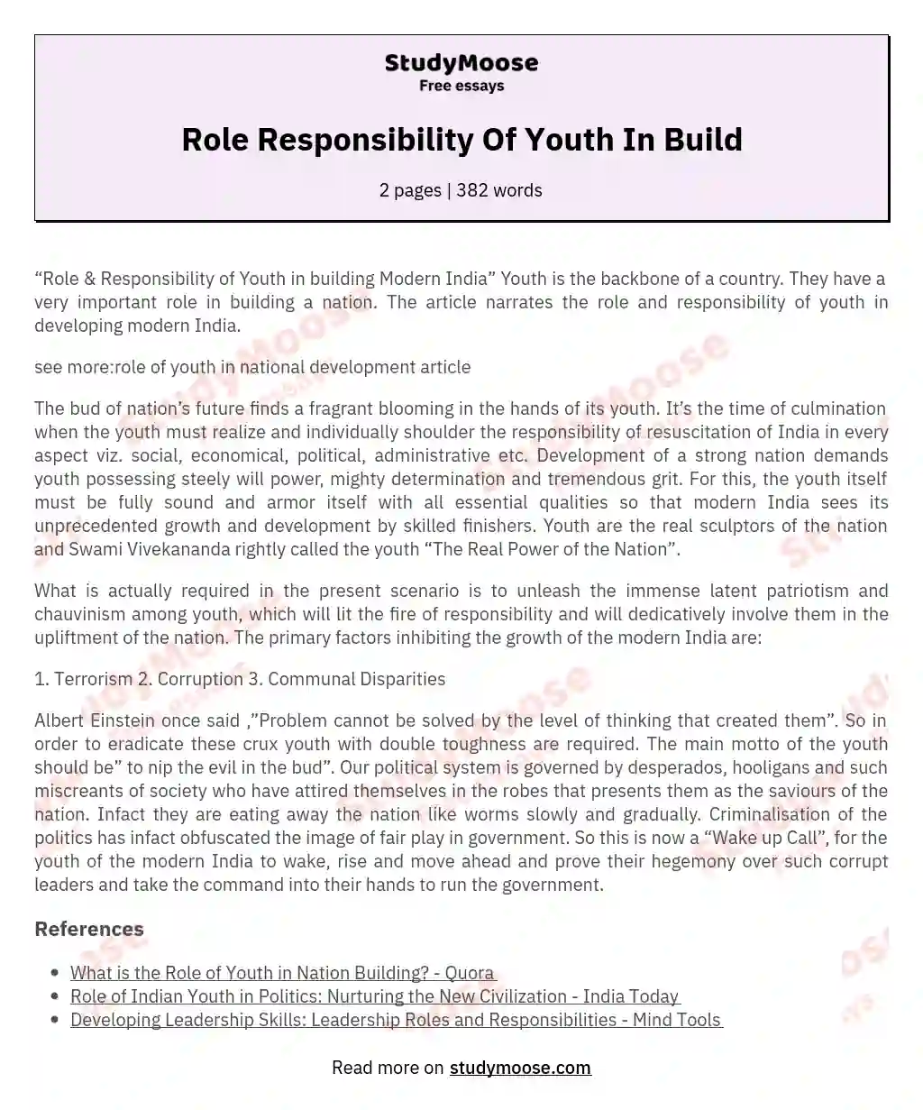 Role Responsibility Of Youth In Build essay