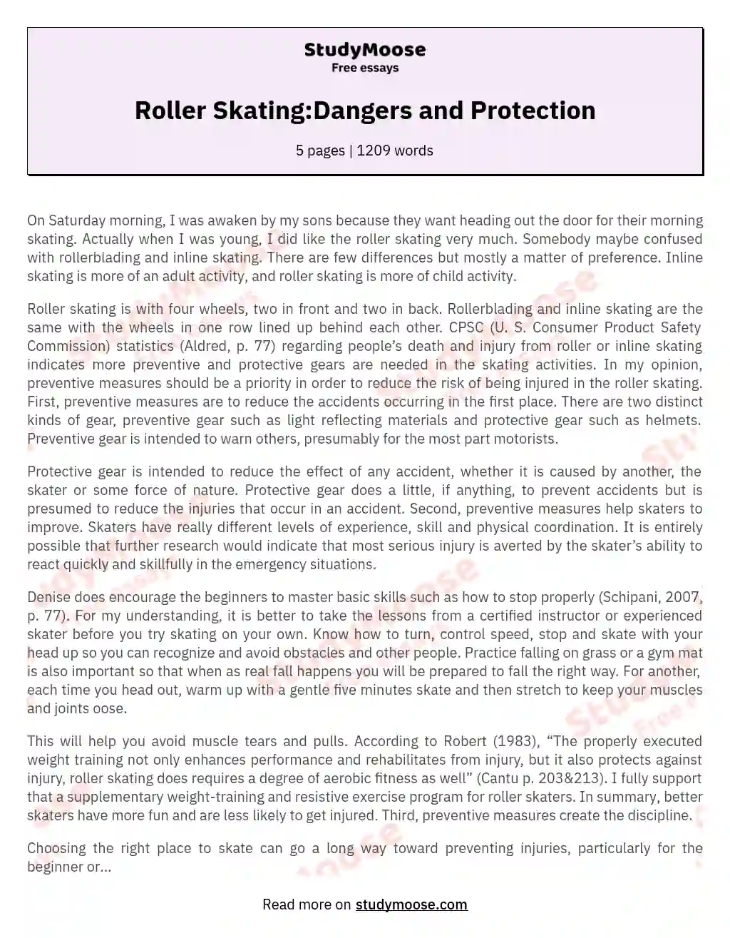 Roller Skating:Dangers and Protection essay