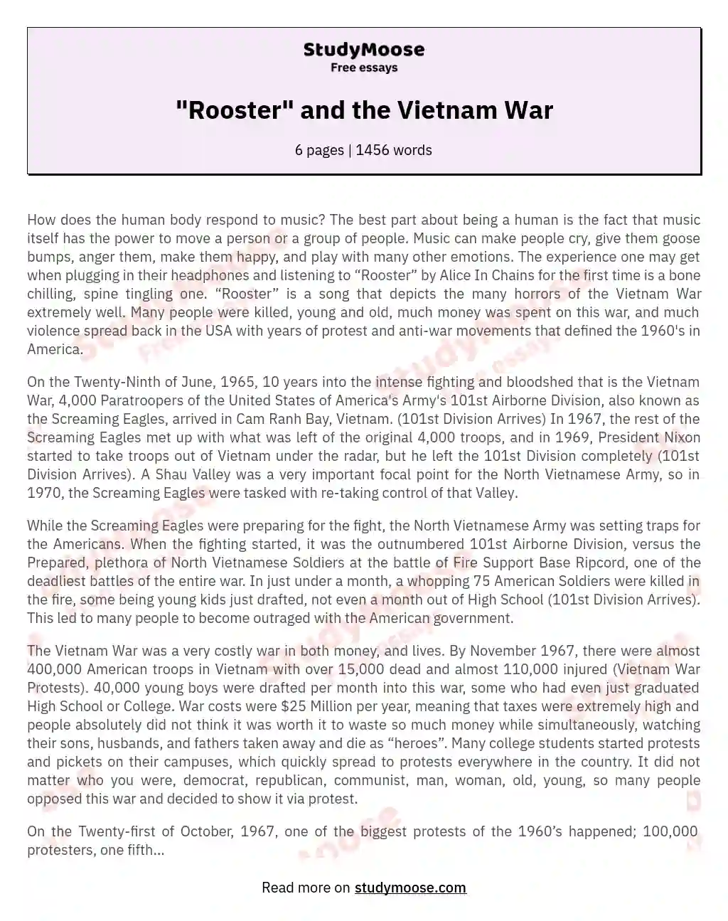 "Rooster" and the Vietnam War essay