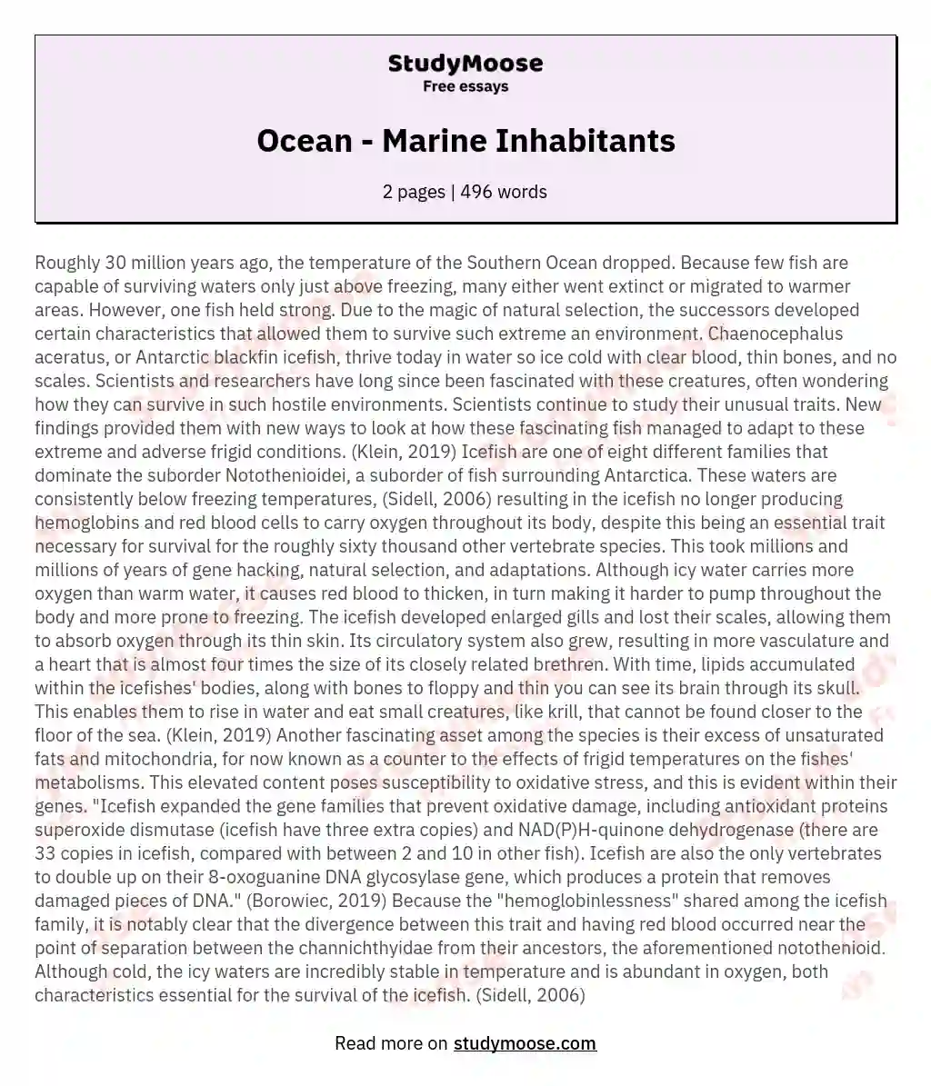 Ocean - Marine Inhabitants essay
