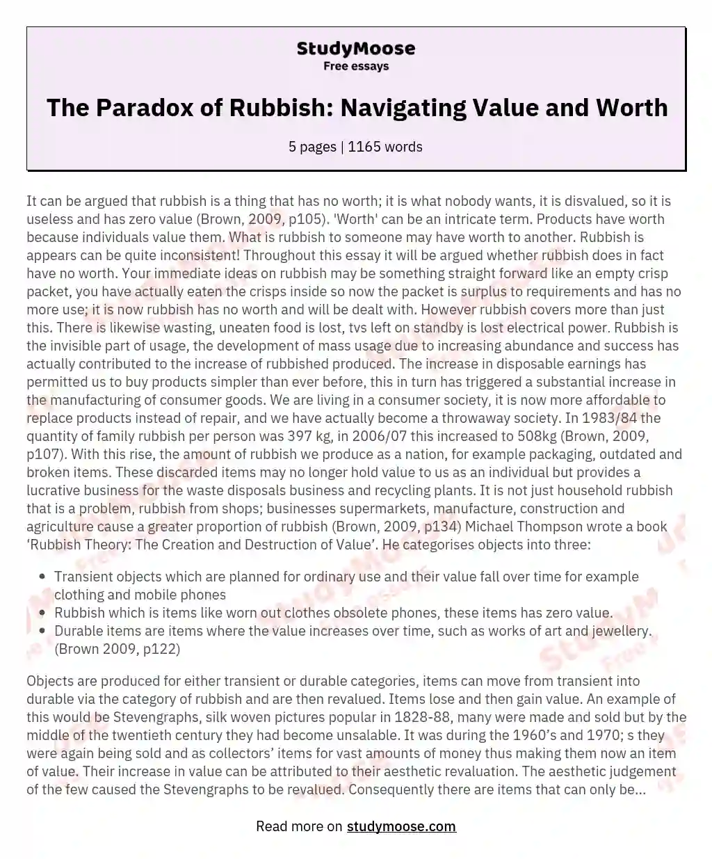 The Paradox of Rubbish: Navigating Value and Worth essay