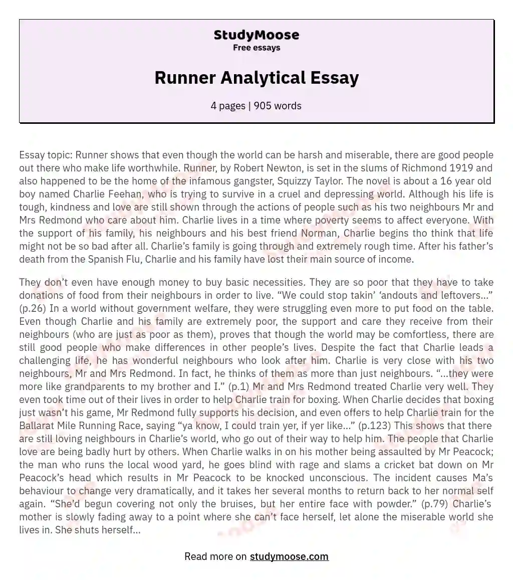 Runner Analytical Essay essay