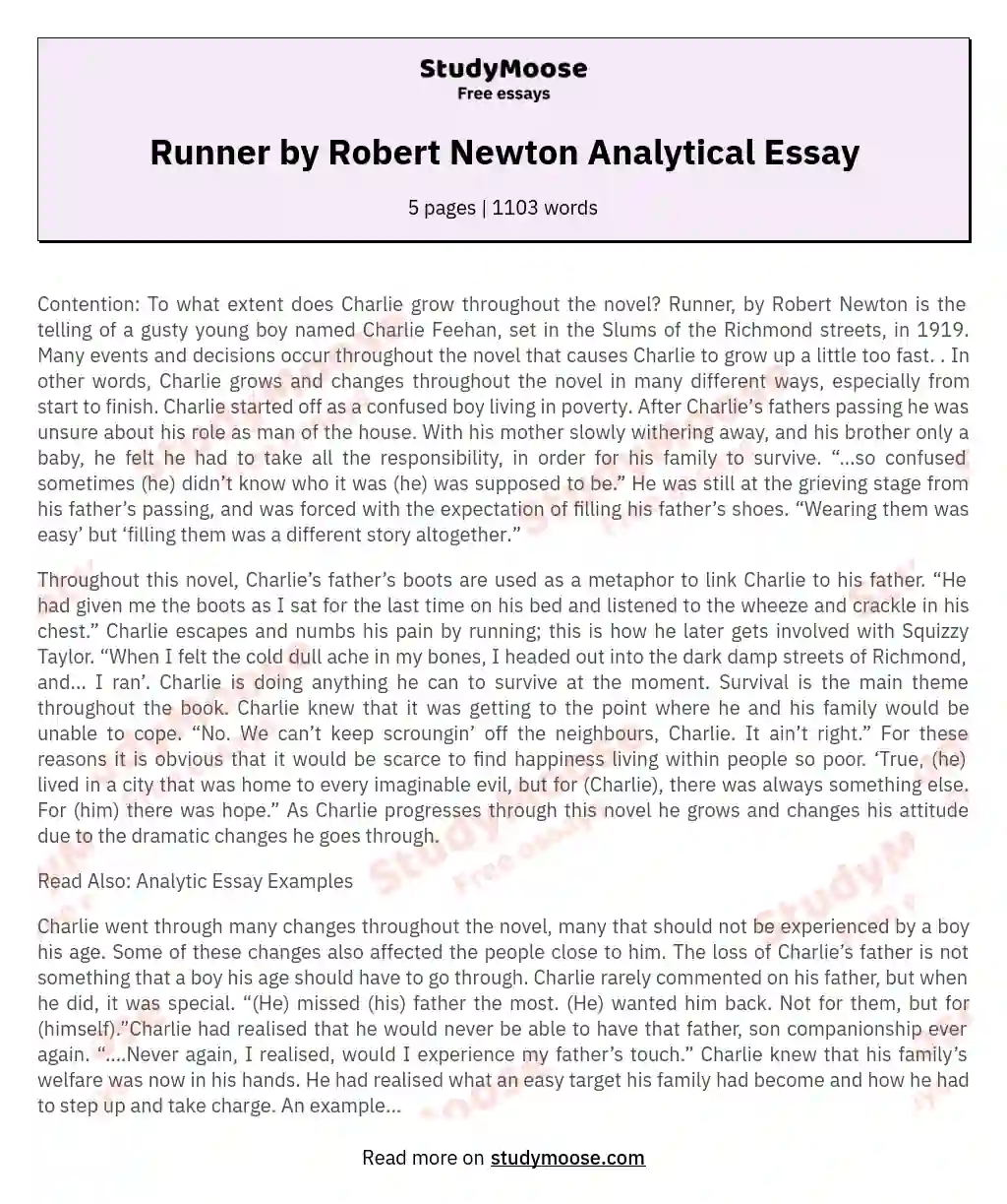 Runner by Robert Newton Analytical Essay essay
