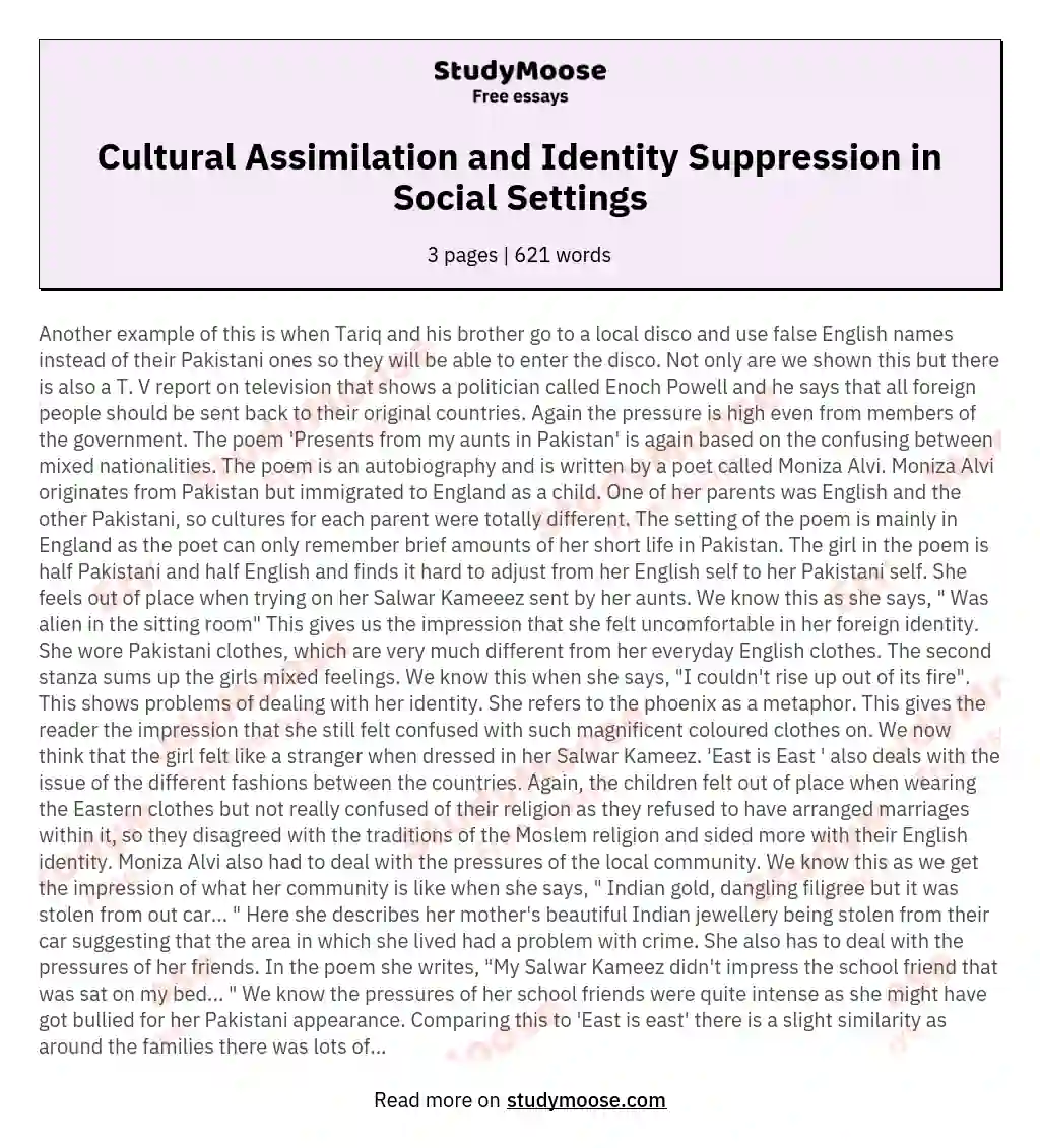 Cultural Assimilation and Identity Suppression in Social Settings essay