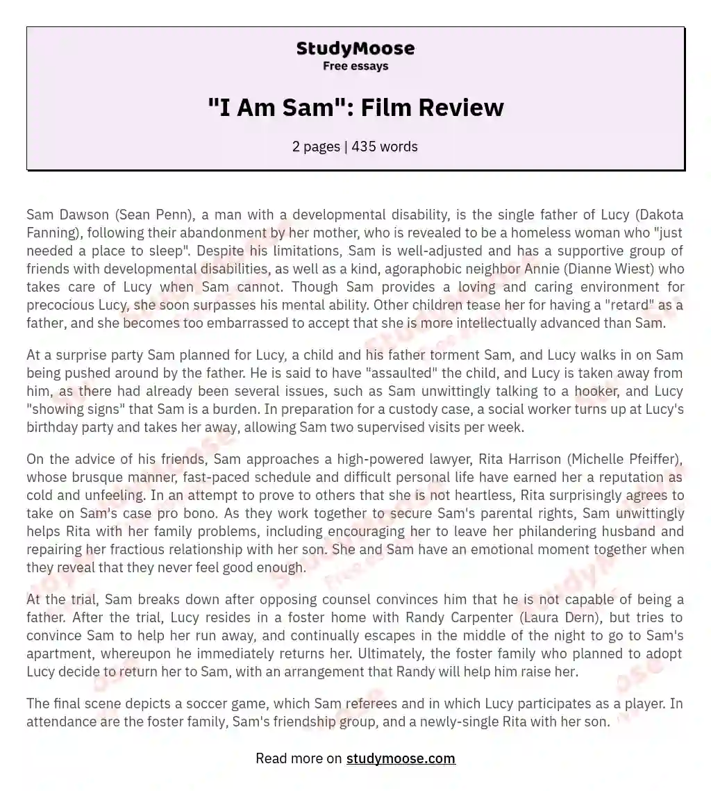 "I Am Sam": Film Review essay