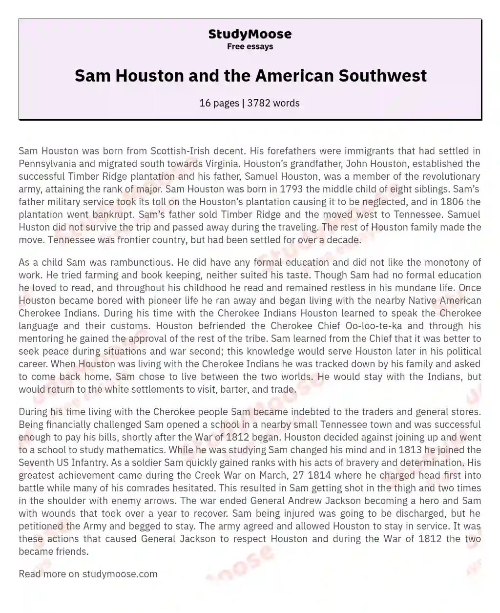 Sam Houston: From Frontier Life to Political Career essay