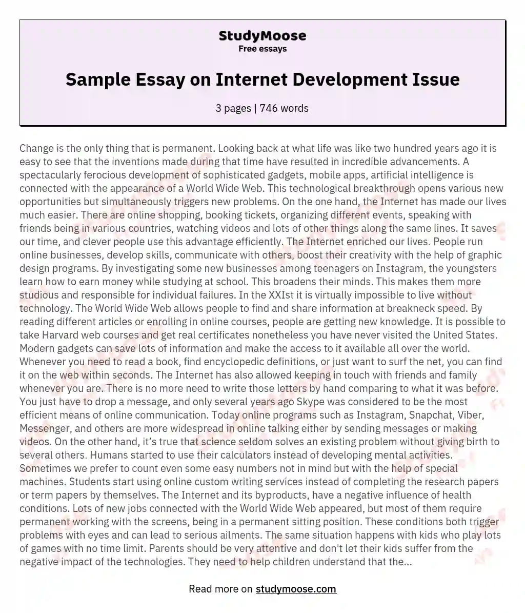 Sample Essay on Internet Development Issue essay