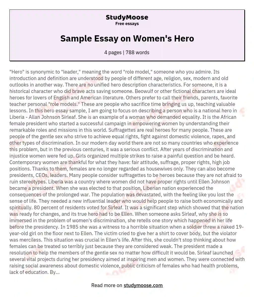 Sample Essay on Women's Hero essay