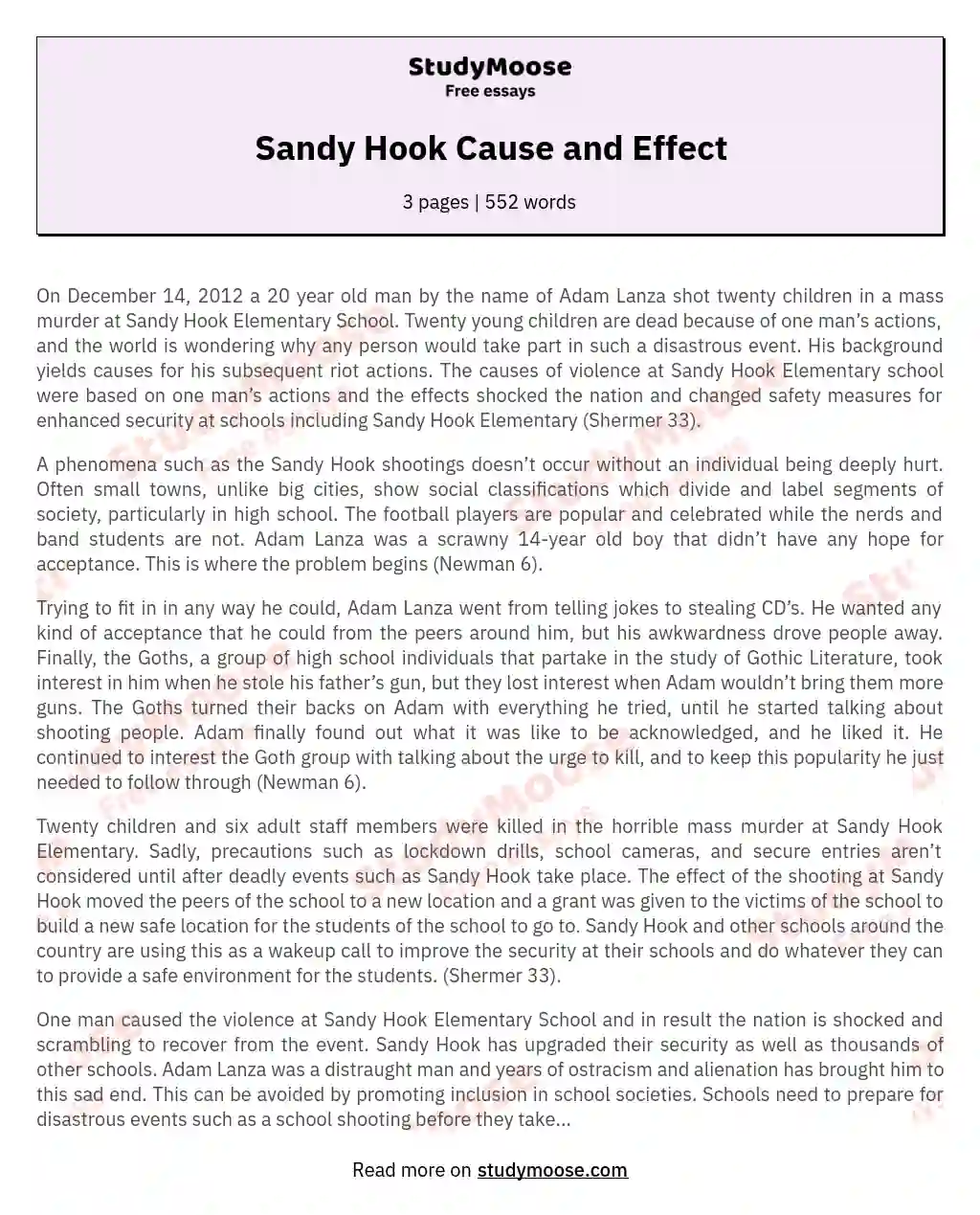 Sandy Hook Cause and Effect essay