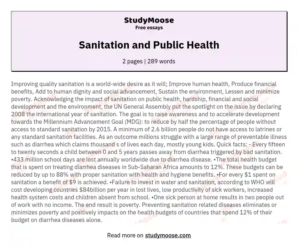 Sanitation and Public Health essay