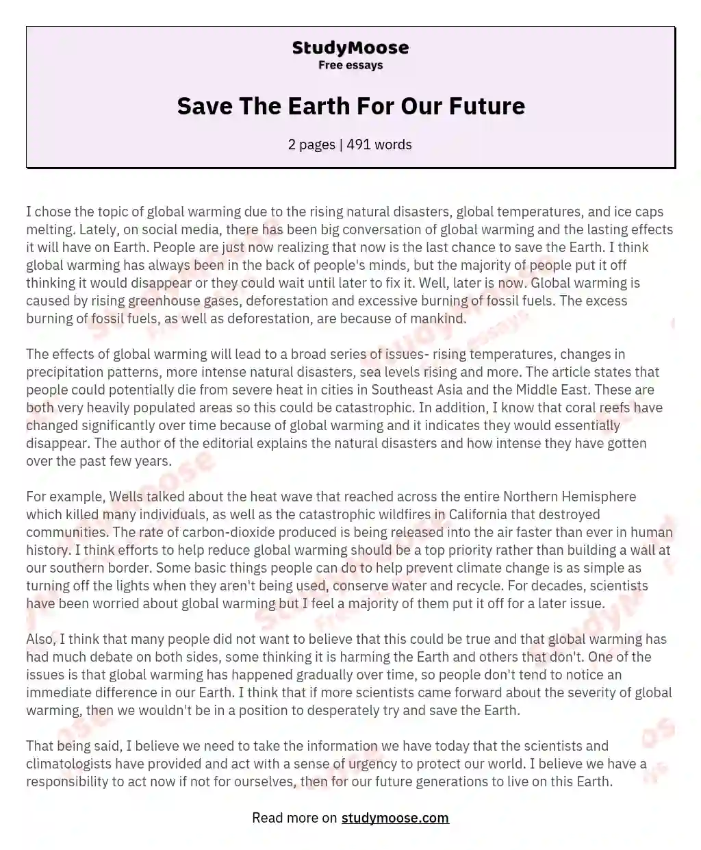 Save The Earth For Our Future essay