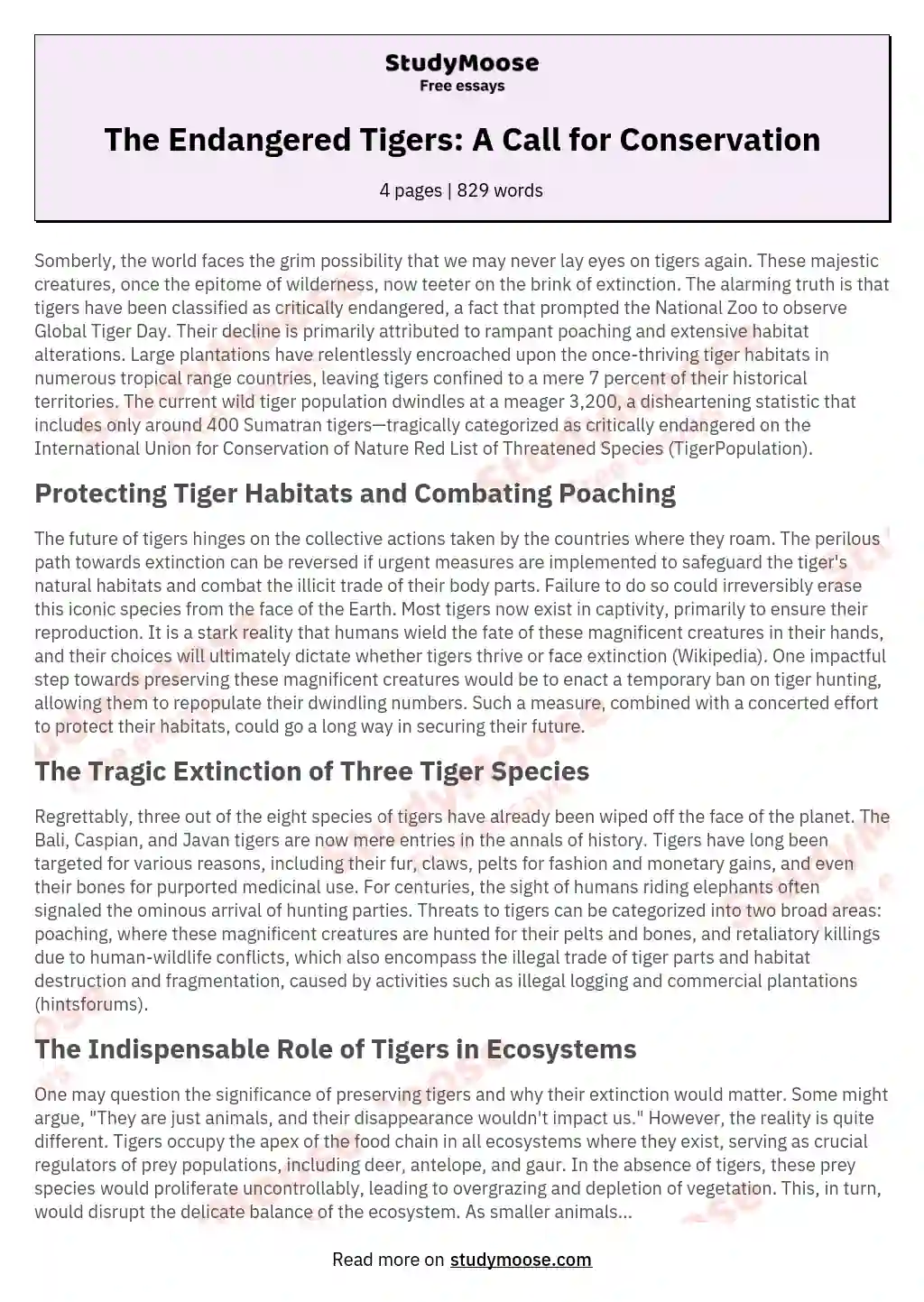 The Endangered Tigers: A Call for Conservation essay