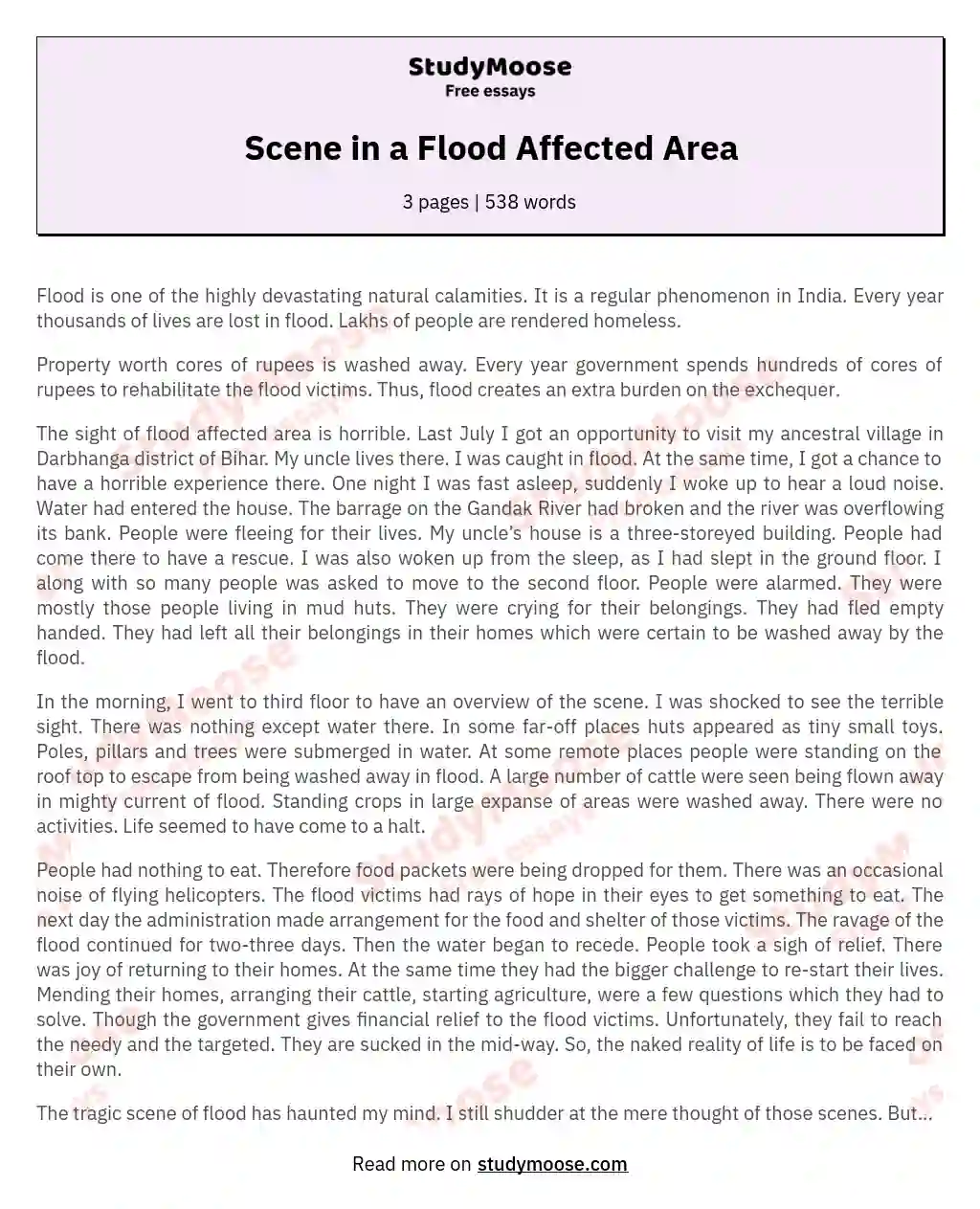 Scene in a Flood Affected Area essay