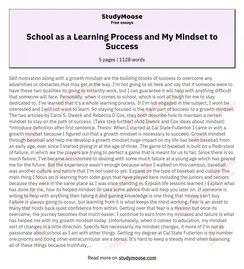 School as a Learning Process and My Mindset to Success essay