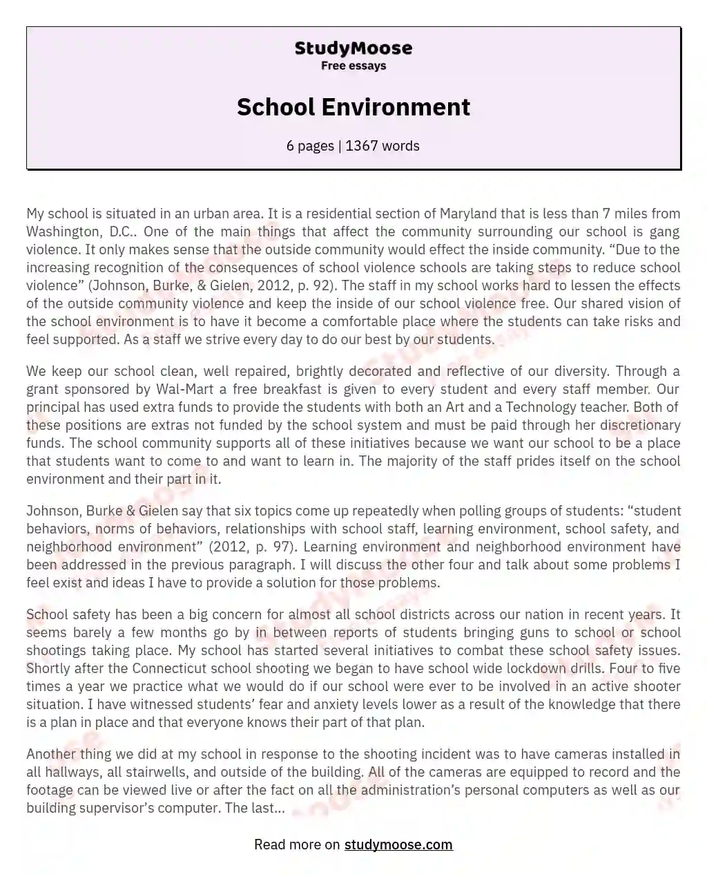 School Environment essay