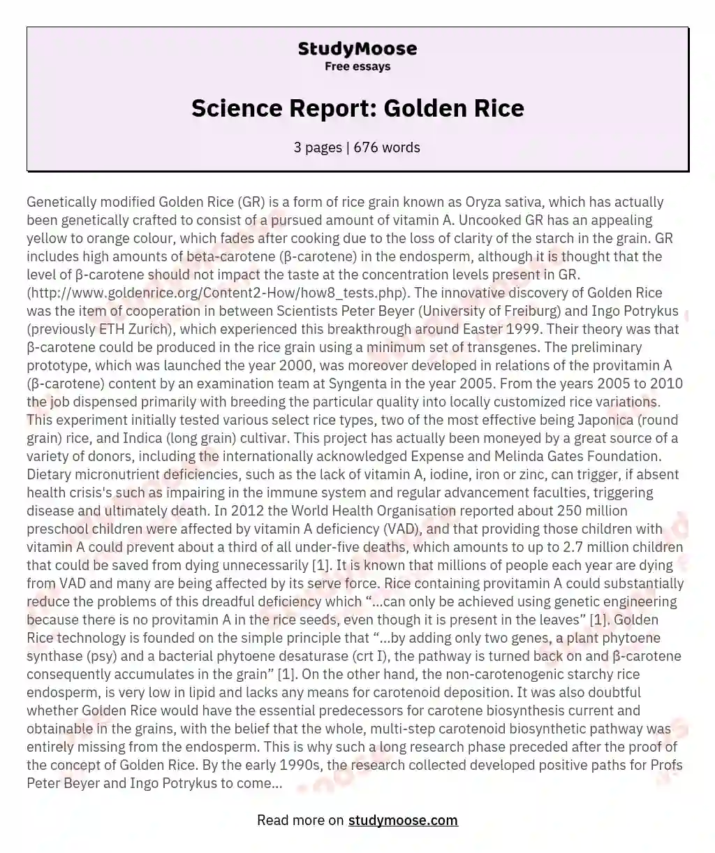 Science Report: Golden Rice essay