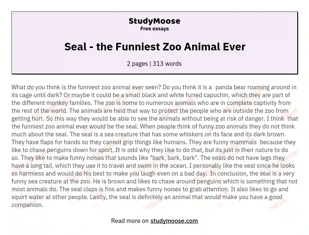 Seal - the Funniest Zoo Animal Ever essay