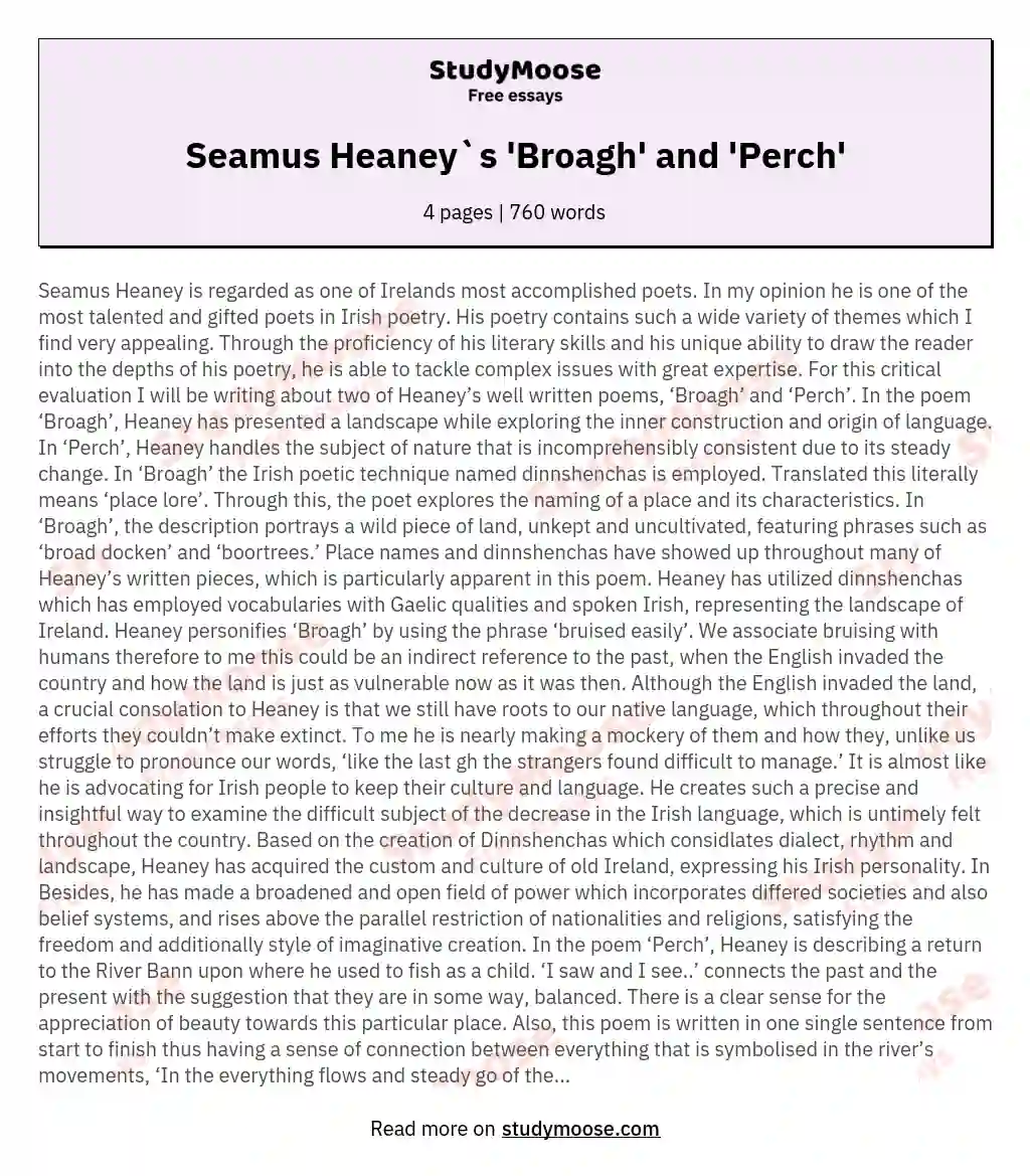 Seamus Heaney`s 'Broagh' and 'Perch' essay