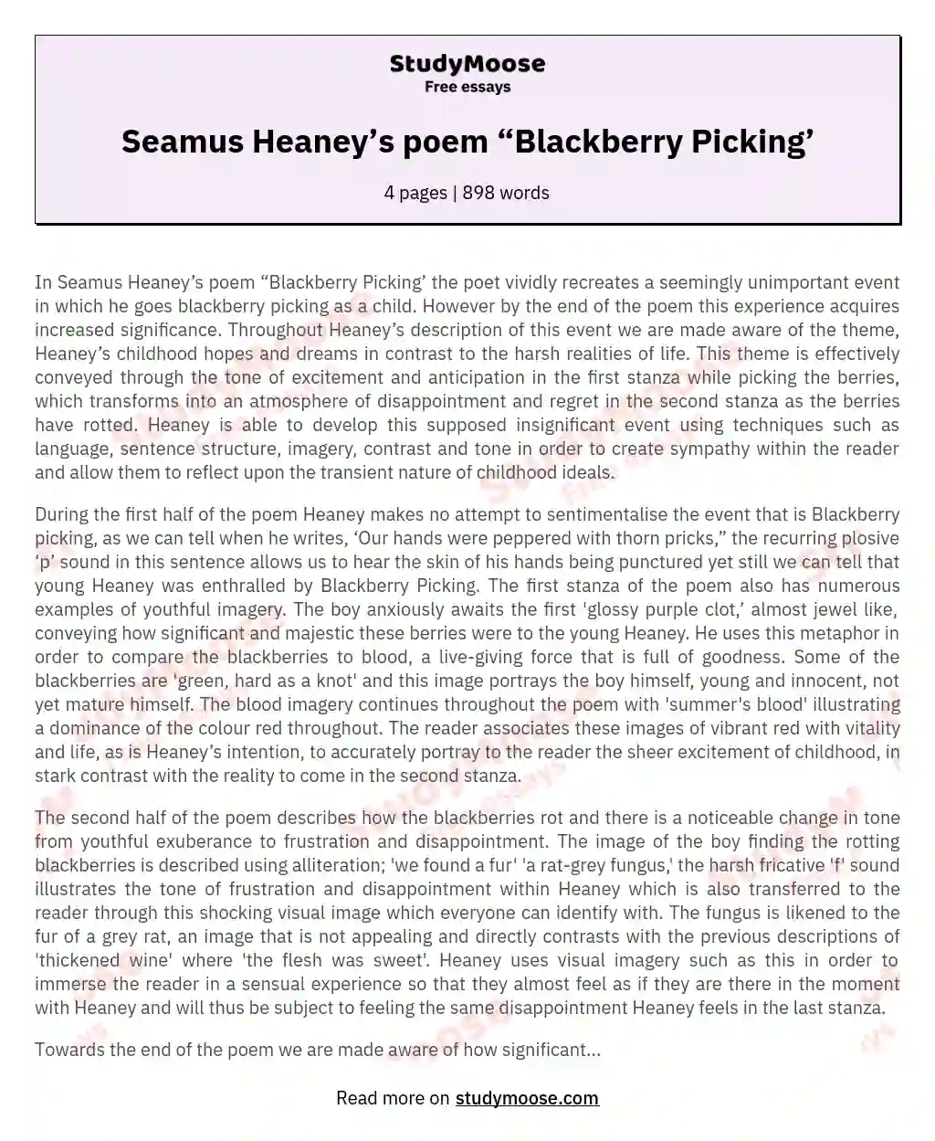 Seamus Heaney’s poem “Blackberry Picking’ essay