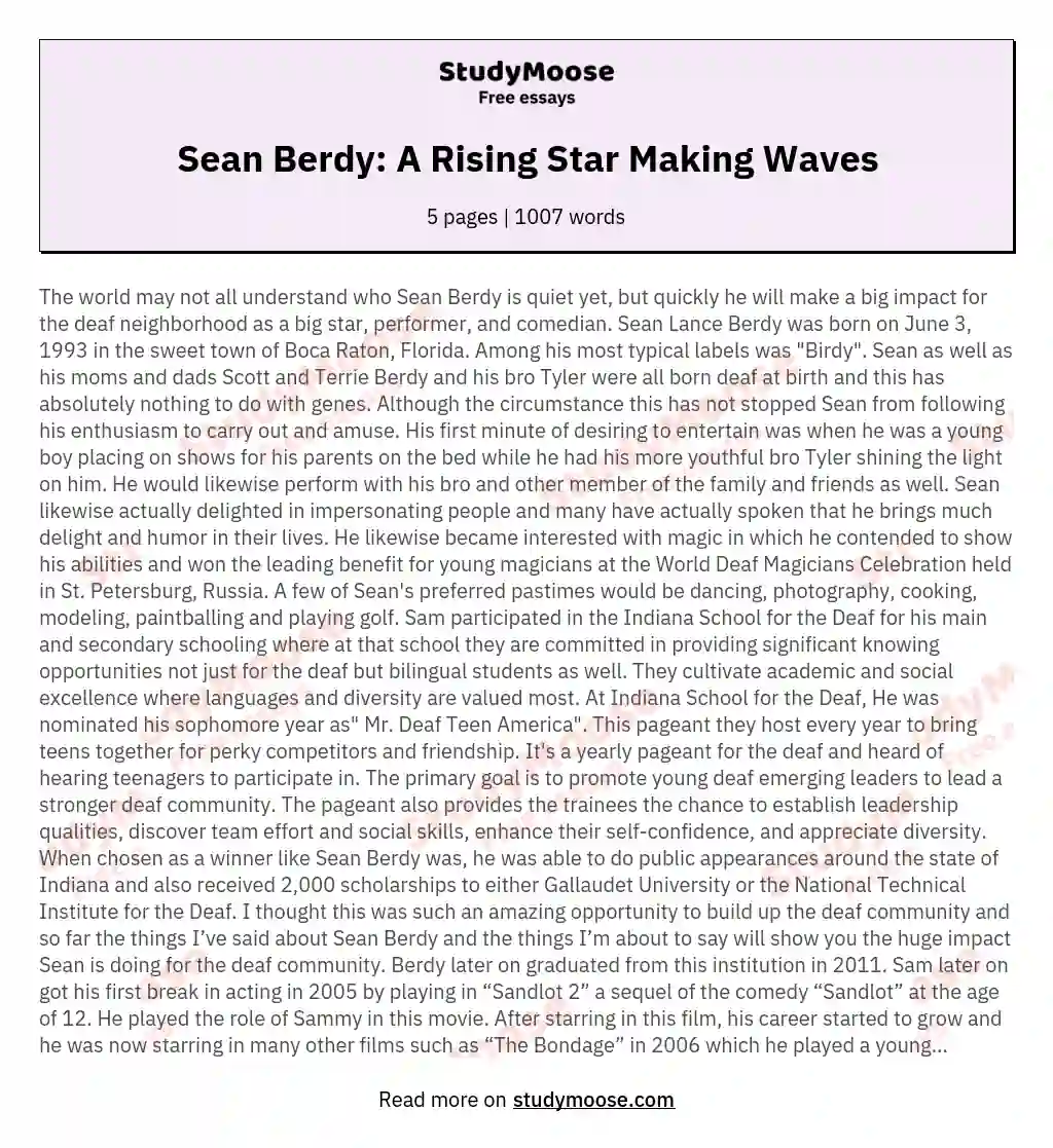 Sean Berdy: A Rising Star Making Waves essay