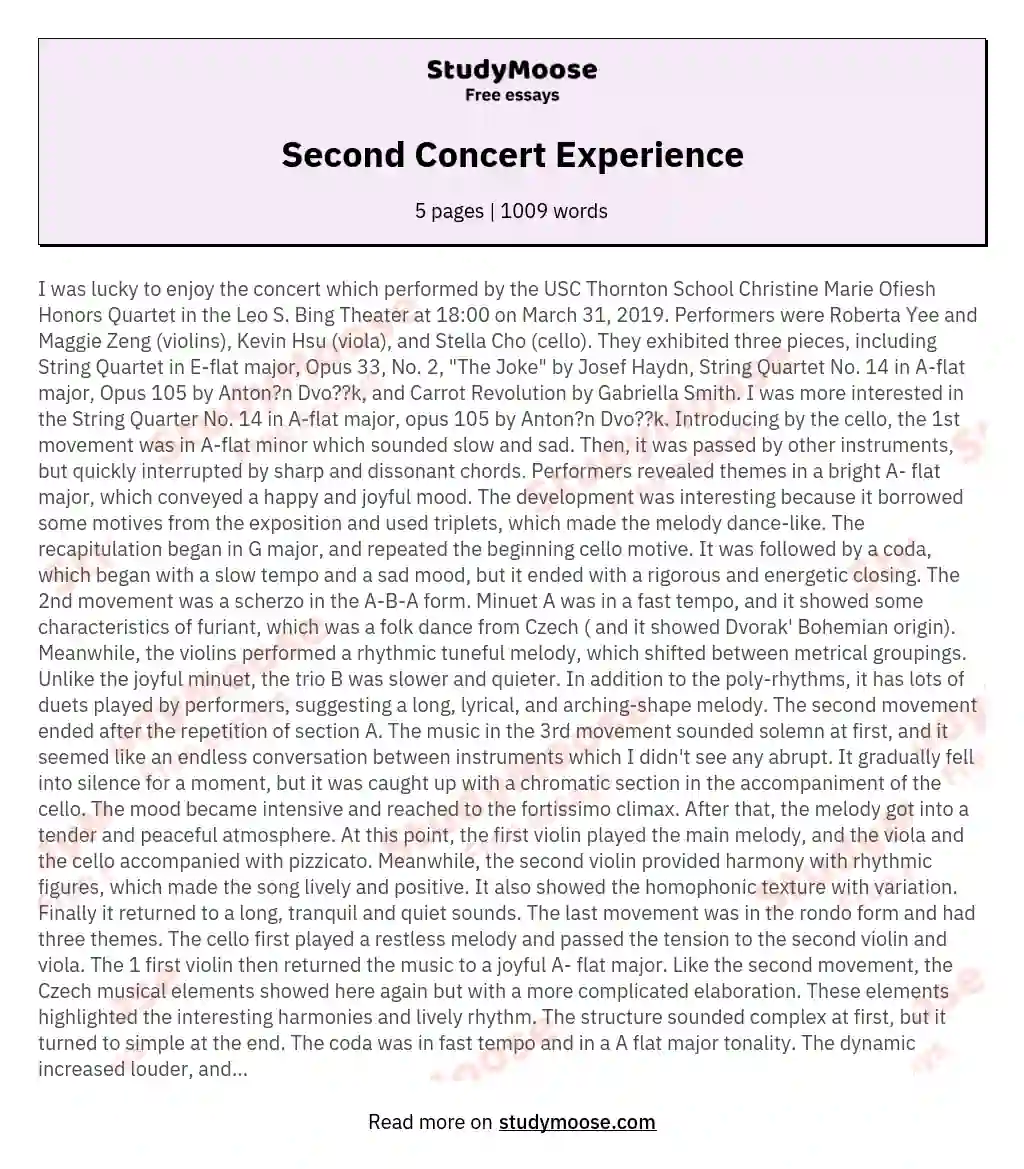 Second Concert Experience essay