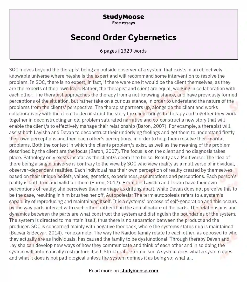 Second Order Cybernetics essay