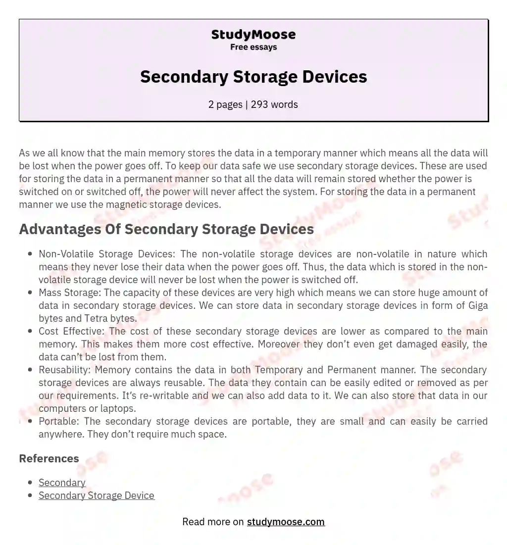 Secondary Storage Devices essay