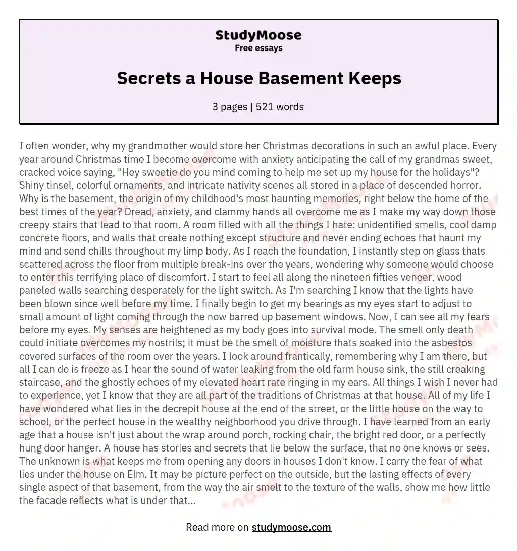 Secrets a House Basement Keeps