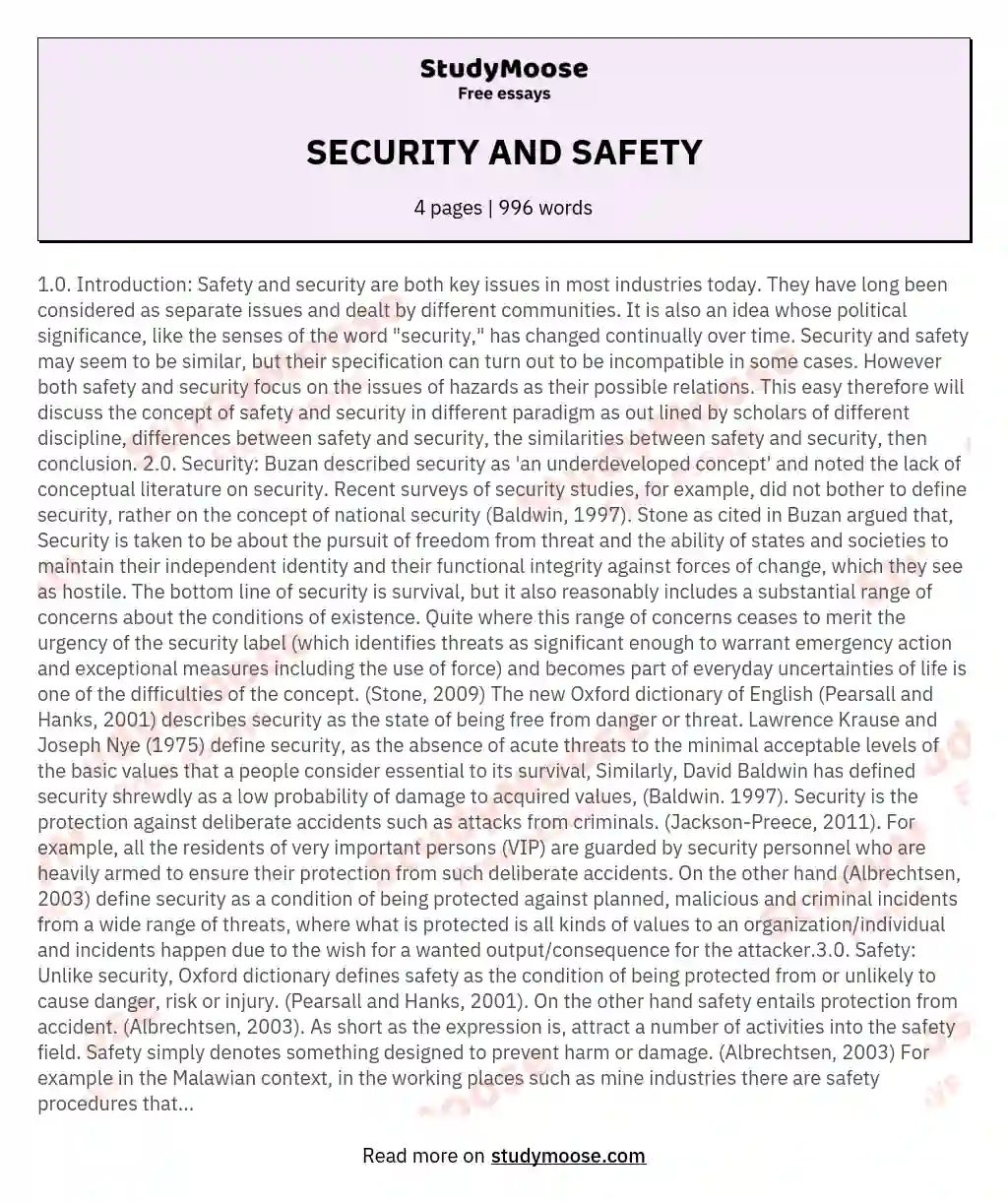 SECURITY AND SAFETY essay