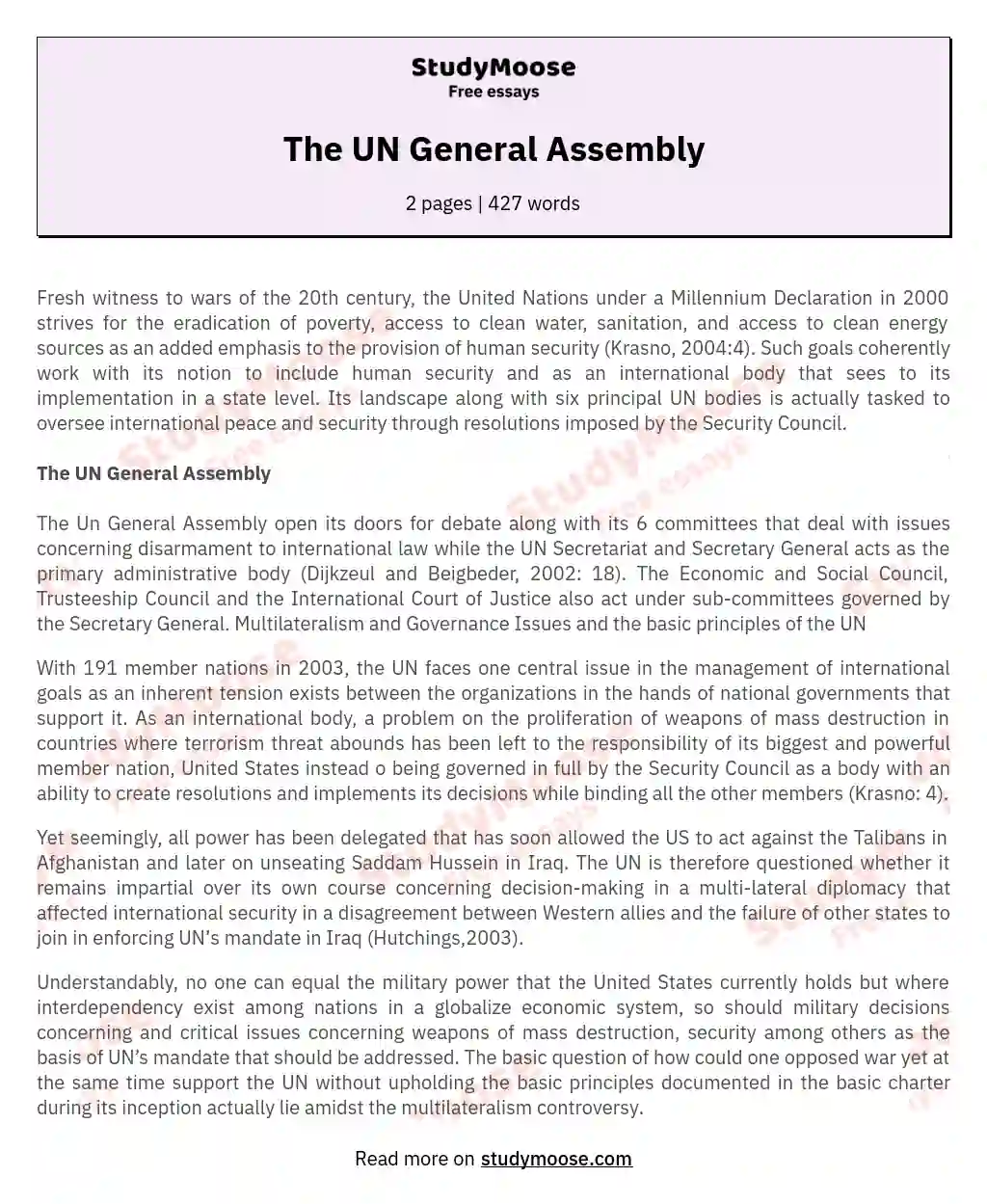 The UN General Assembly essay