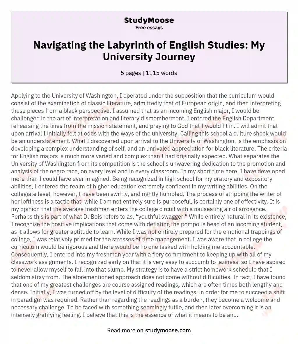 Navigating the Labyrinth of English Studies: My University Journey essay