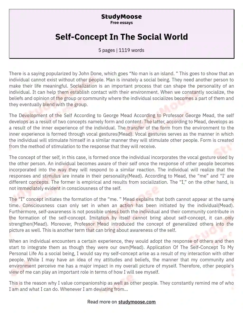 Self-Concept In The Social World essay