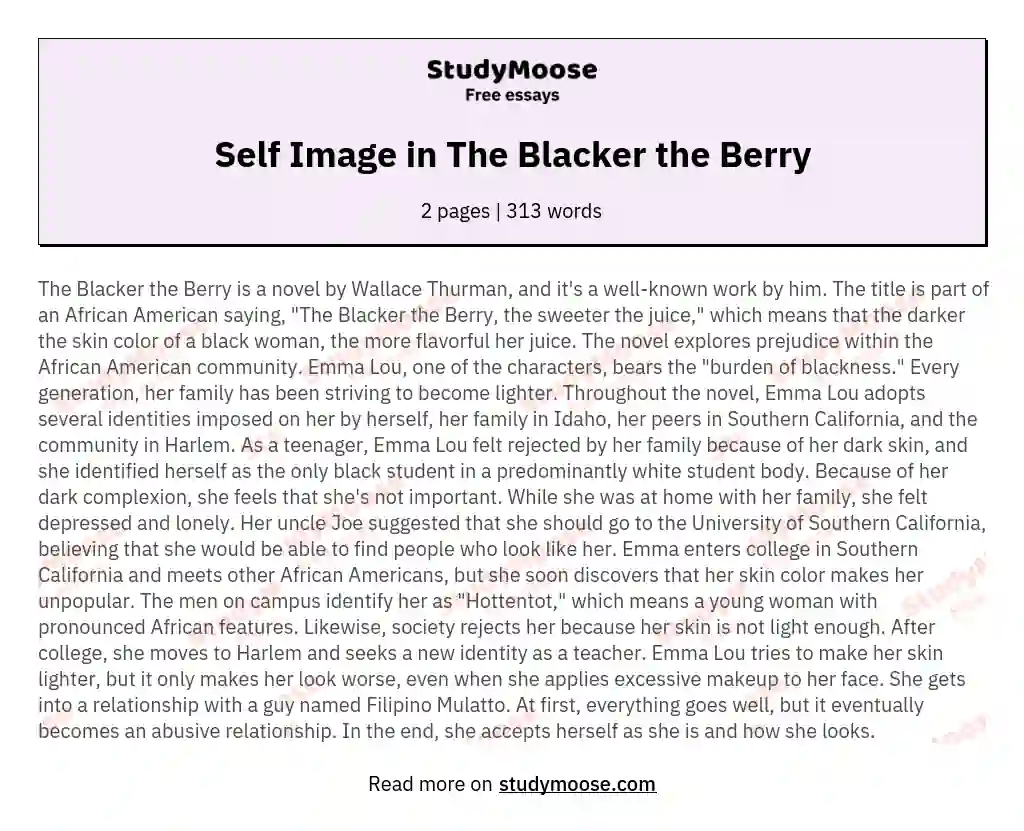 Self Image in The Blacker the Berry