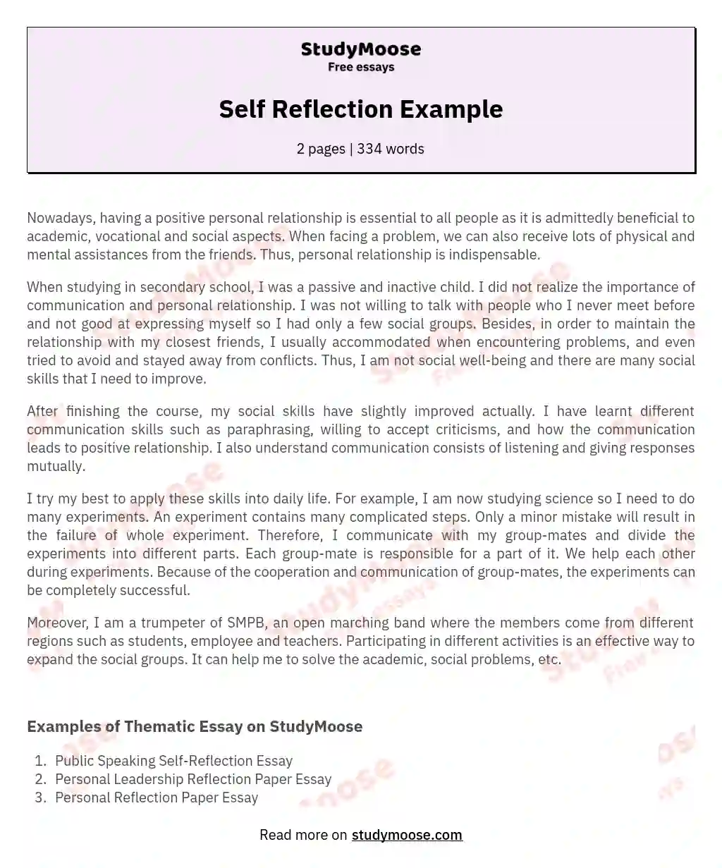 Self Reflection Example essay