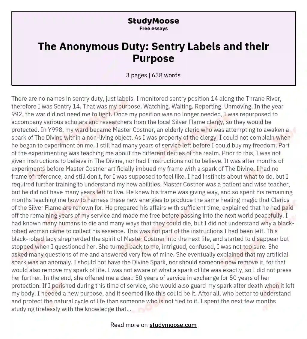 The Anonymous Duty: Sentry Labels and their Purpose essay