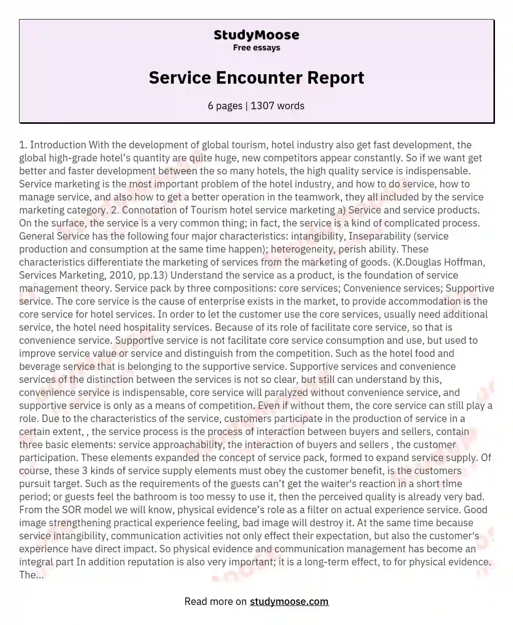 Service Encounter Report essay