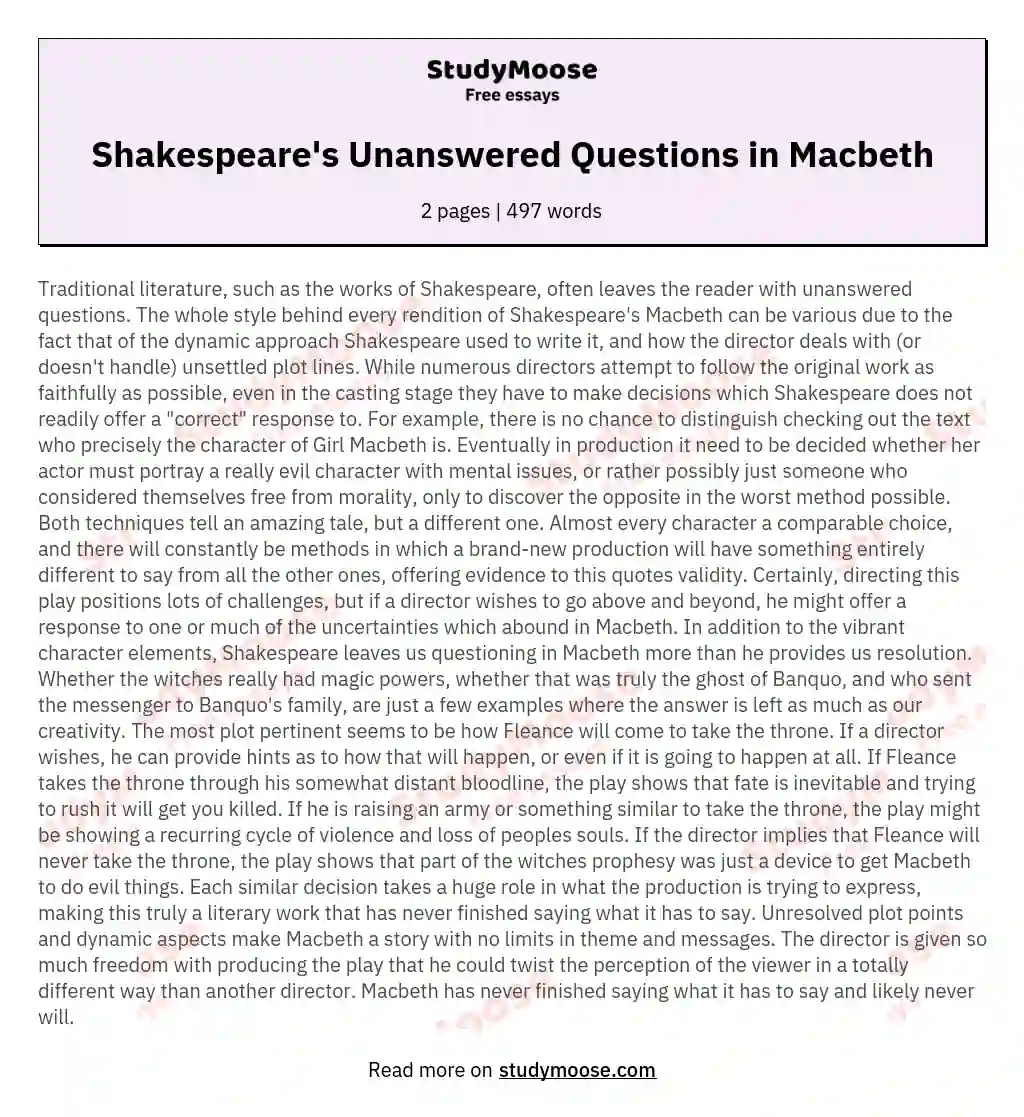 Shakespeare's Unanswered Questions in Macbeth essay