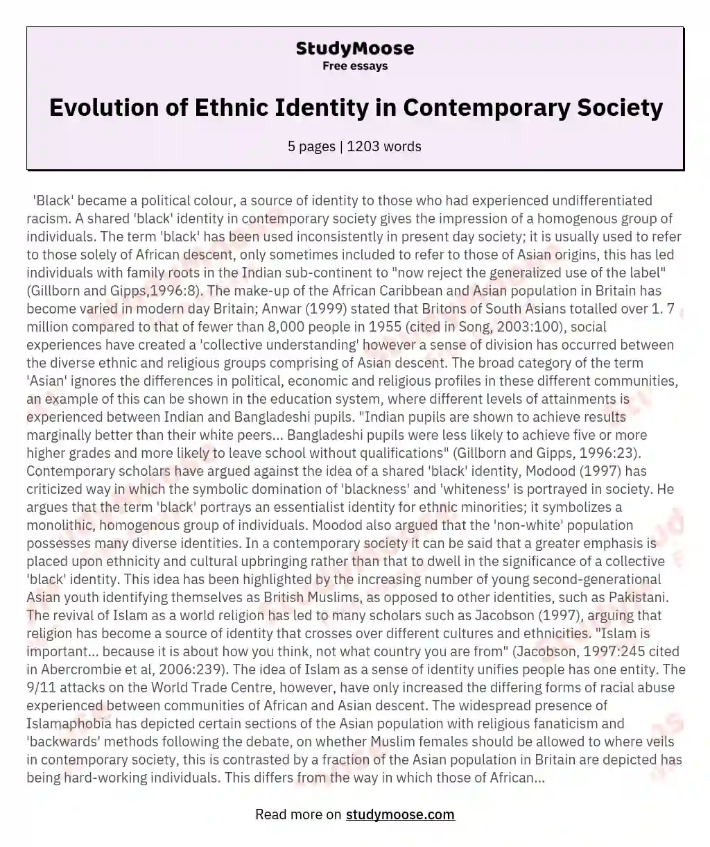 Evolution of Ethnic Identity in Contemporary Society essay