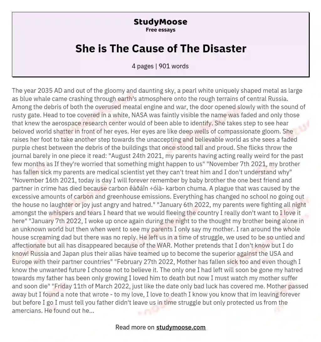 She is The Cause of The Disaster essay