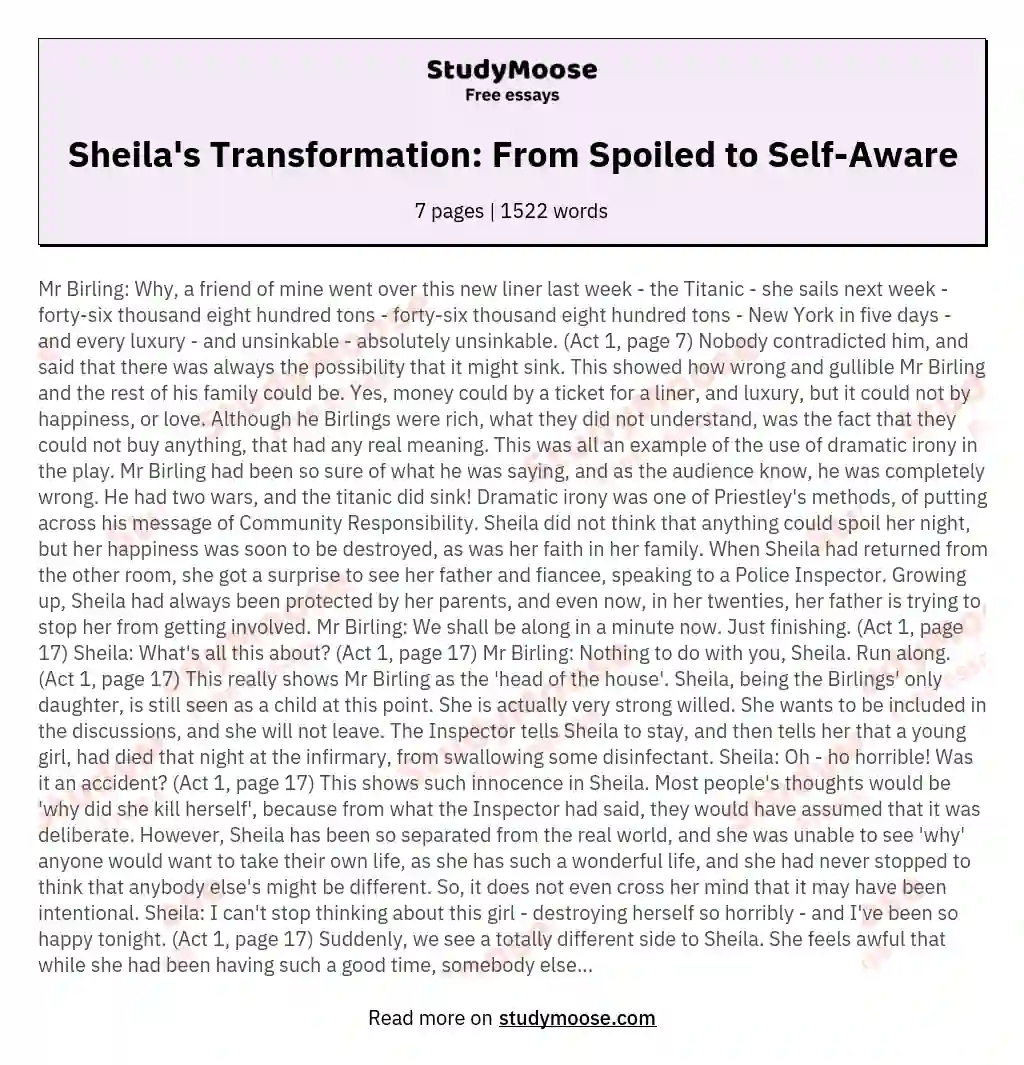 Sheila's Transformation: From Spoiled to Self-Aware essay