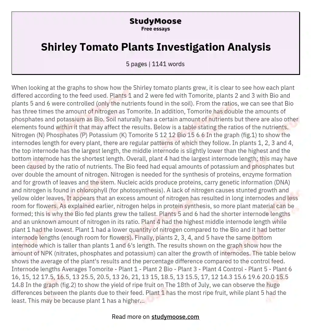Shirley Tomato Plants Investigation Analysis