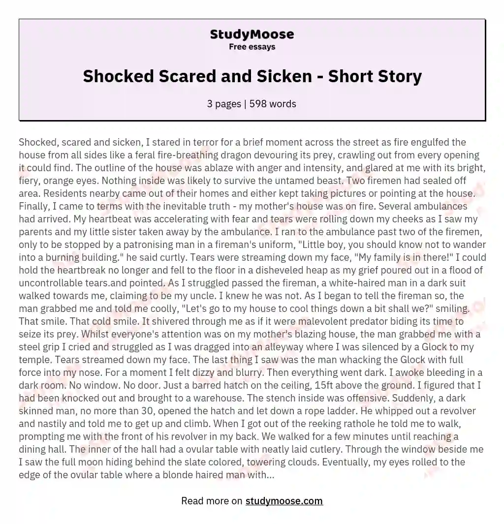 Shocked Scared and Sicken - Short Story essay